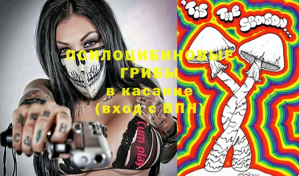 mdpv Дмитров